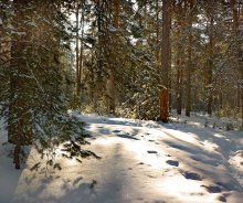 Vyatskie Skizzen - 4 / ***