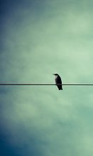 Lonely note / .......