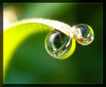 Augen / no comments