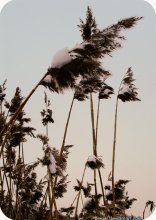 winter.3 / ***