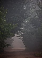 Weg / ***
