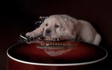 Beginner Musiker / ***
