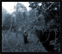 Traurigkeit / ***