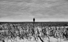 Horizon / ***