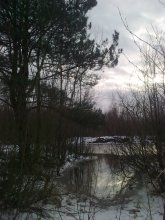 Waldsee / ...................