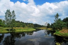Polesskii Landschaft / ***