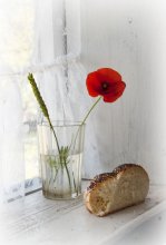 Crust mit einer Mohnblume / ***