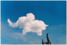 Elephant. Nur ein Elefant. / ***