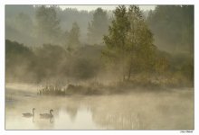 Zwei / ***