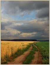 Landschaft / ***