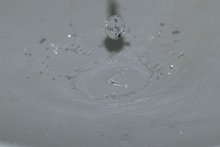 Wasser / ***