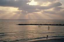 Hilton Beach / ***