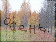 "Sad, Schuppen ein paar Tränen fallen ein wenig regen ..." / ***