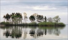 Rückstau / ***