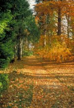 Sommer vs Herbst / ***