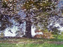 Herbst in Zdravnevo / ***