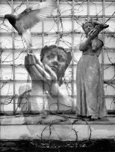 . Svobodna.ptitsa Welt / ***