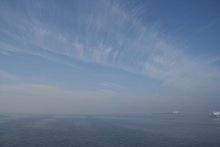 Nebel / ***