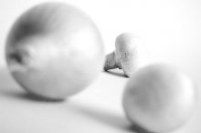 Macro / ***