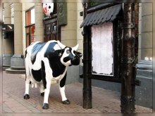 Wandern entlang der Arbat ... / ***