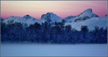 Arktis / ***