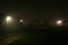 Nebel / ***