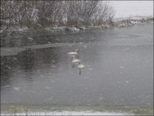 Kälter / ***