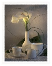 Sommerregen gewidmet ist / ***