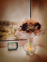 Hochzeit Blumen / ***