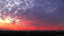 Roter Sonnenuntergang / ***