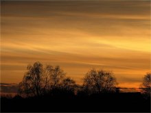 Aufregung ... / ***