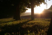 Summer Morning / ***