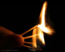 Phoenix. Geburt. / ***