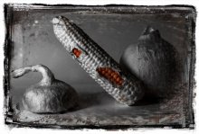 Zwiebeln und Mais / ***