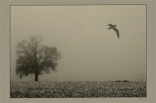Die erste Woche im Dezember. / ***