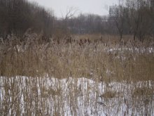 Unsere Yauza / ***