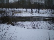Unsere Yauza / ***