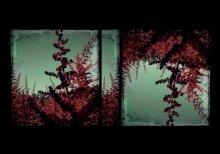 verboten Gras / ***