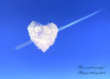 mein Herz / ***