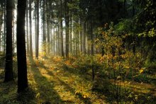Erwachen / ***