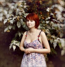 Xenia / ***