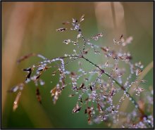 Vormittag / ***