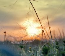 Morning Bergbau / *****