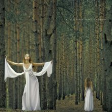 Forest / ***