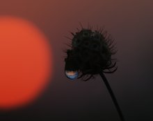Ich bin nur dein Spiegelbild ... / ***