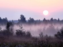 Lila Nebel ... / ***
