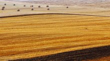 Line von reifen Sommer / .....