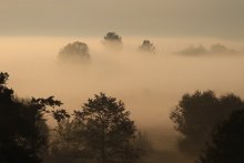 Für den Nebel ... / ***