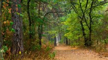 Trail des Sommers in den Herbst .. / *****