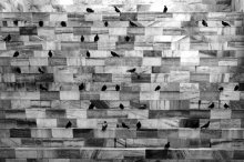 Mailand Etappe / ******